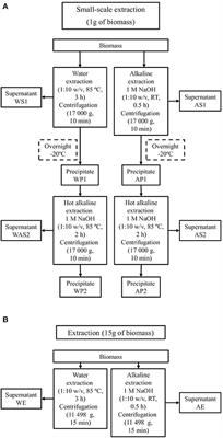 Fungal Cell Biomass From Enzyme Industry as a Sustainable Source of Hydrocolloids